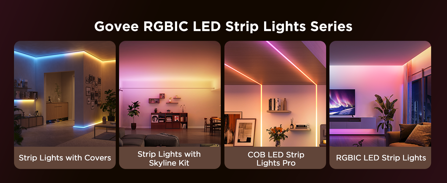 ec03e01a 49e3 4235 af5c 93540f9dc8d4. cr0,0,1464,600 pt0 sx1464 v1 